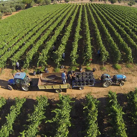 Tenuta Doxi Alojamento de Acomodação e Pequeno-almoço