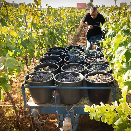 Alojamento de Acomodação e Pequeno-almoço Tenuta Doxi