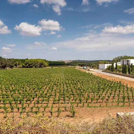 Tenuta Doxi Couette-café Gallipoli
