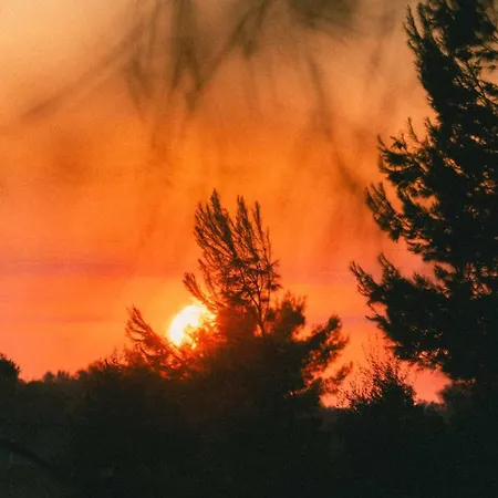 Tenuta Doxi Gallipoli