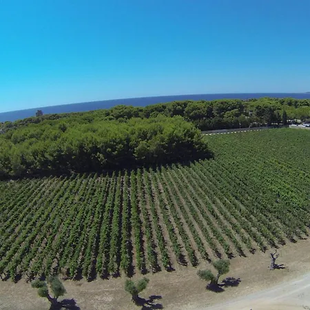Tenuta Doxi
