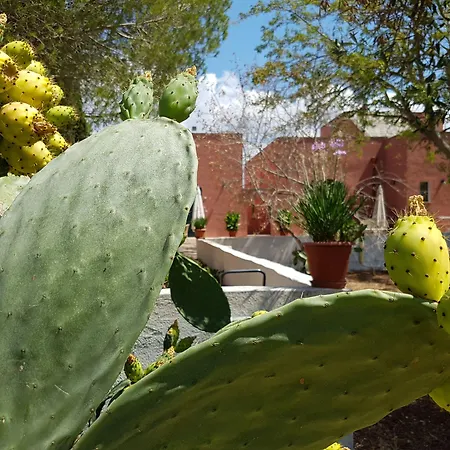 לינה וארוחת בוקר Tenuta Doxi גאליפולי