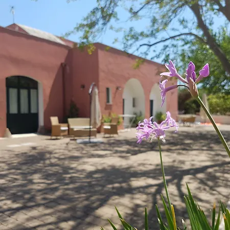 Tenuta Doxi 加利波利