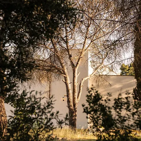 Bed & Breakfast Tenuta Doxi 3*