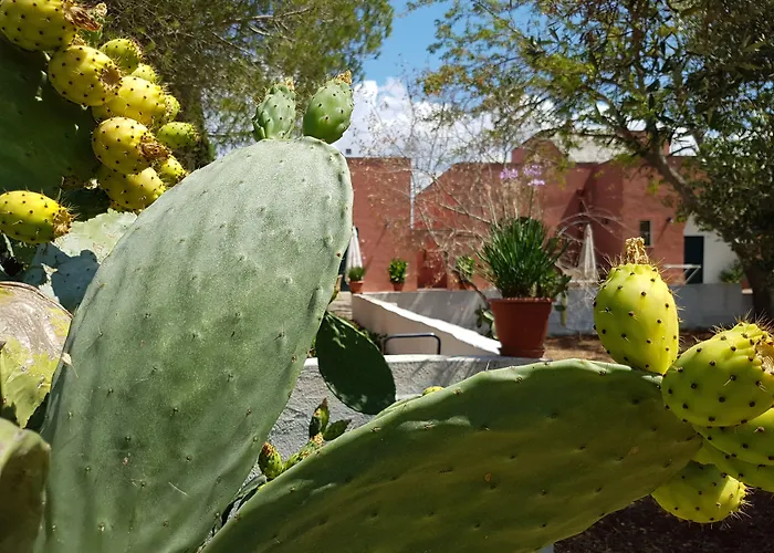 Bed & Breakfast Tenuta Doxi Gallipolli