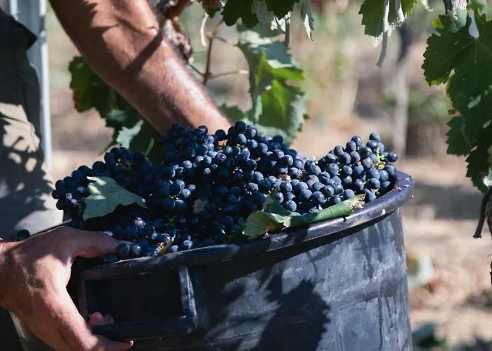 Tenuta Doxi Alojamento de Acomodação e Pequeno-almoço Gallipoli